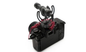 VideoMicro